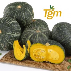 TGM 제품 이미지