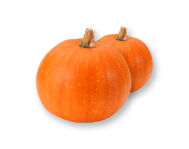 ORANGE 단호박