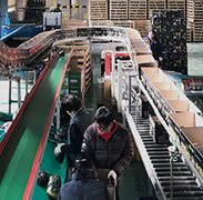 선별포장